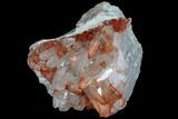 Natural, Red Quartz Crystal Cluster - Morocco #84357-1